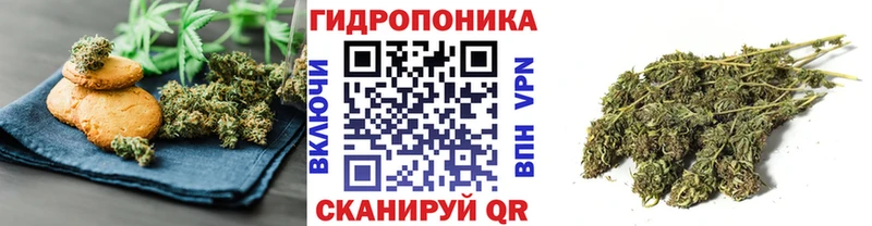 Cannafood конопля  Электрогорск 