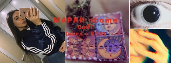 ПСИЛОЦИБИНОВЫЕ ГРИБЫ Липки