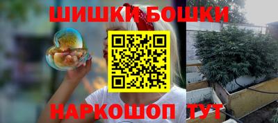 прущие грибы Гатчина