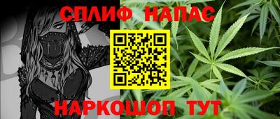 прущие грибы Гатчина