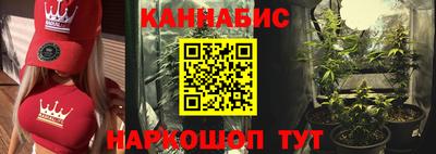 прущие грибы Гатчина