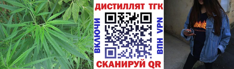 наркота  Электрогорск  ТГК Wax 