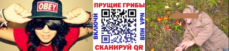 Псилоцибиновые грибы прущие грибы  как найти наркотики  Электрогорск 