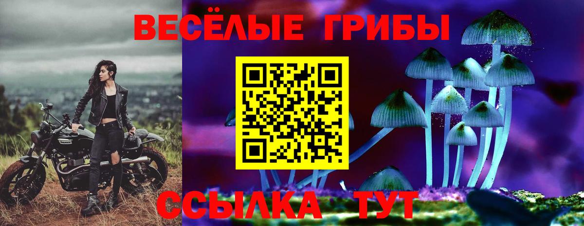 Псилоцибиновые грибы Magic Shrooms  Вход с VPN  Электрогорск 